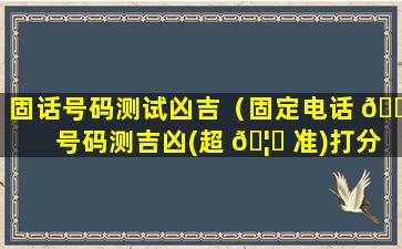 固话号码测试凶吉（固定电话 🌲 号码测吉凶(超 🦉 准)打分）